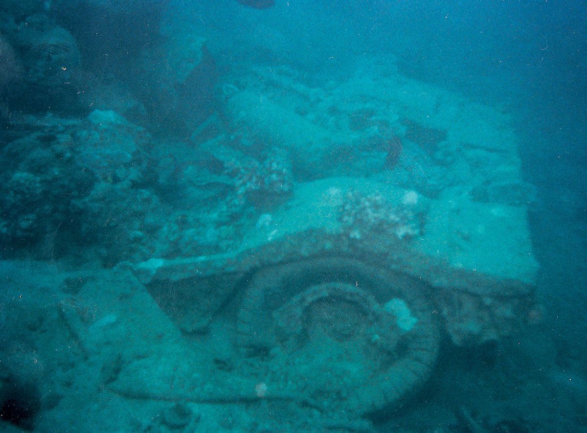 An underwater photograph of Million Dollar Point in Espírito Santo.