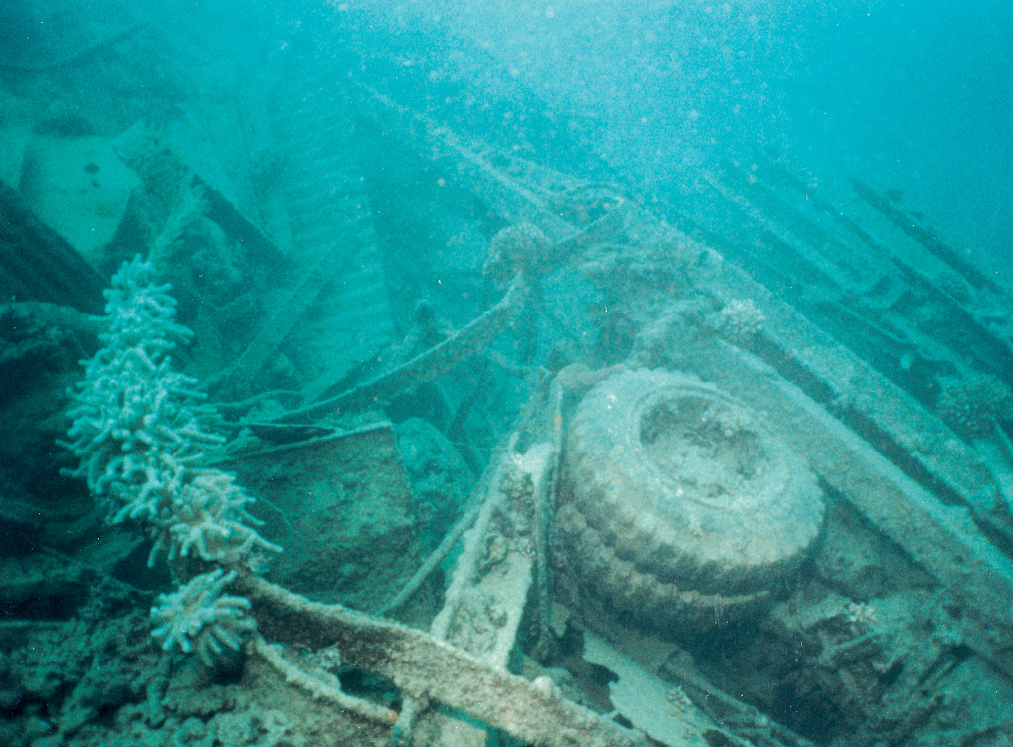 An underwater photograph of Million Dollar Point in Espírito Santo.