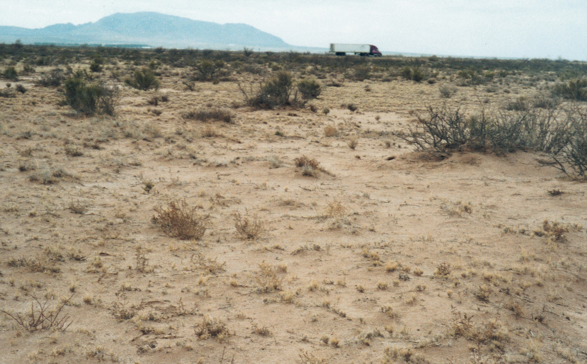 A photograph of the view from the center of Cabinetlandia, looking south toward the high-way. 