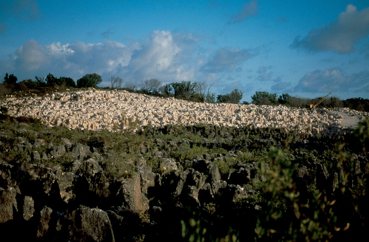 A photograph of coral pinnacles on Nauru. The darker pinnacles mined several decades ago contrast with brighter, recently mined pinnacles.