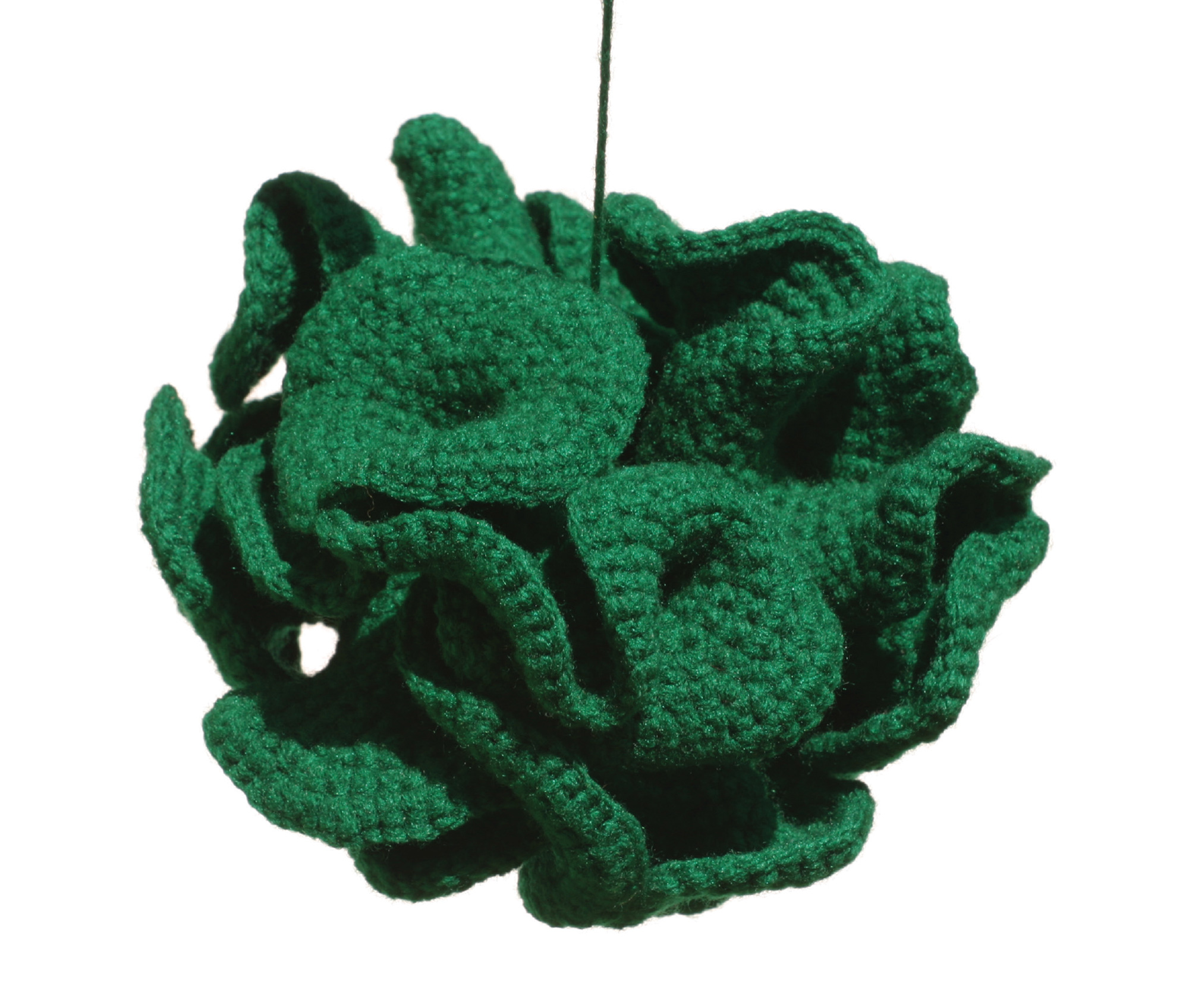 A hyperbolic form crocheted by Daina Taimina.