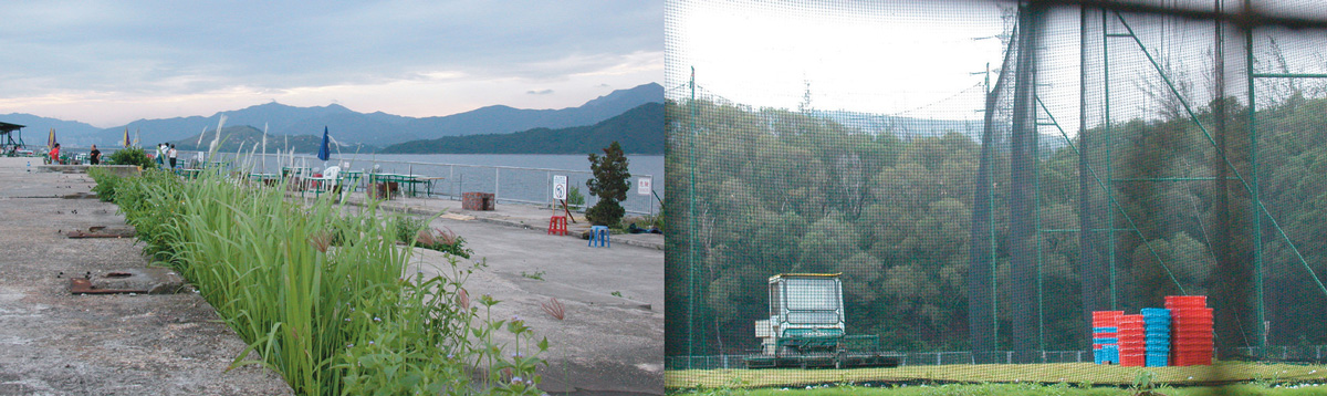 A photographic diptych of grass growing out of pavement and a golf driving range.