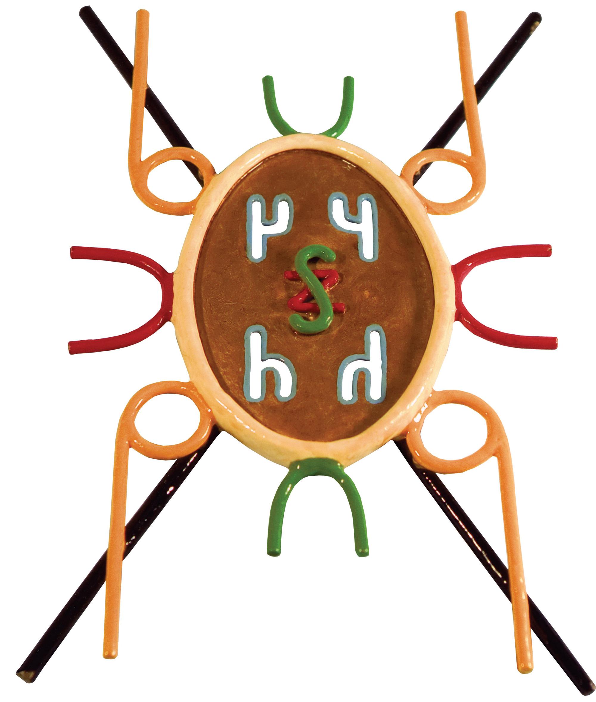 A photograph of Zellweger‘s “Logic Bug,” a metal tool showing the symmetries of his Alphabet.