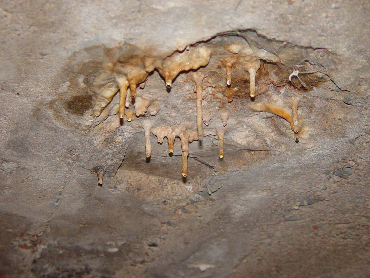 A photograph of stalactite forms created by dripping water.