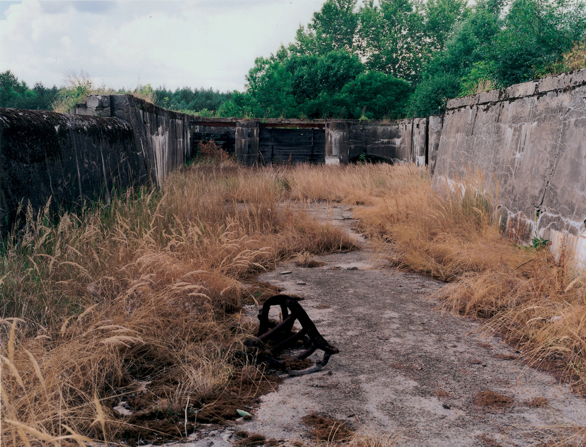 Artist Jeremy Millar’s photograph of an overgrown structure from his series taken at abandoned power plants in Estonia.