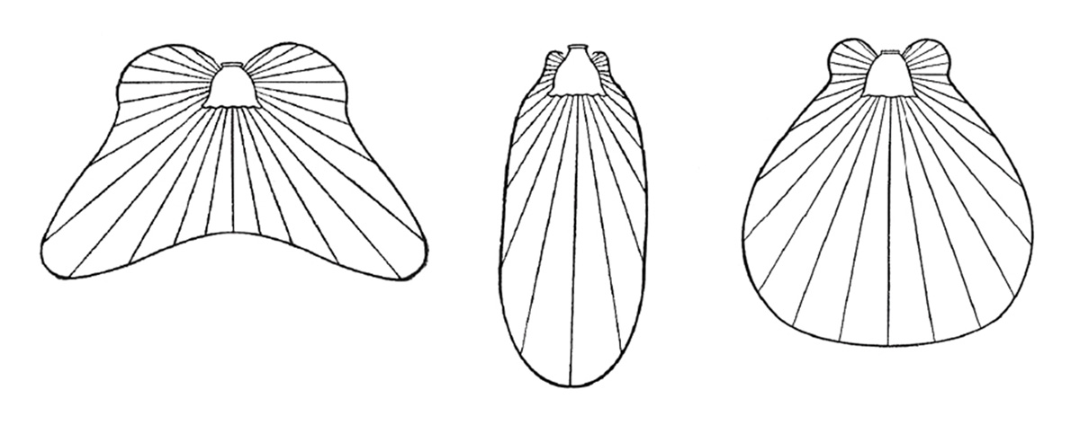 Diagrams of the spatial distribution of incandescent light under various lampshades, from Louis Bell's nineteen twelve book, 