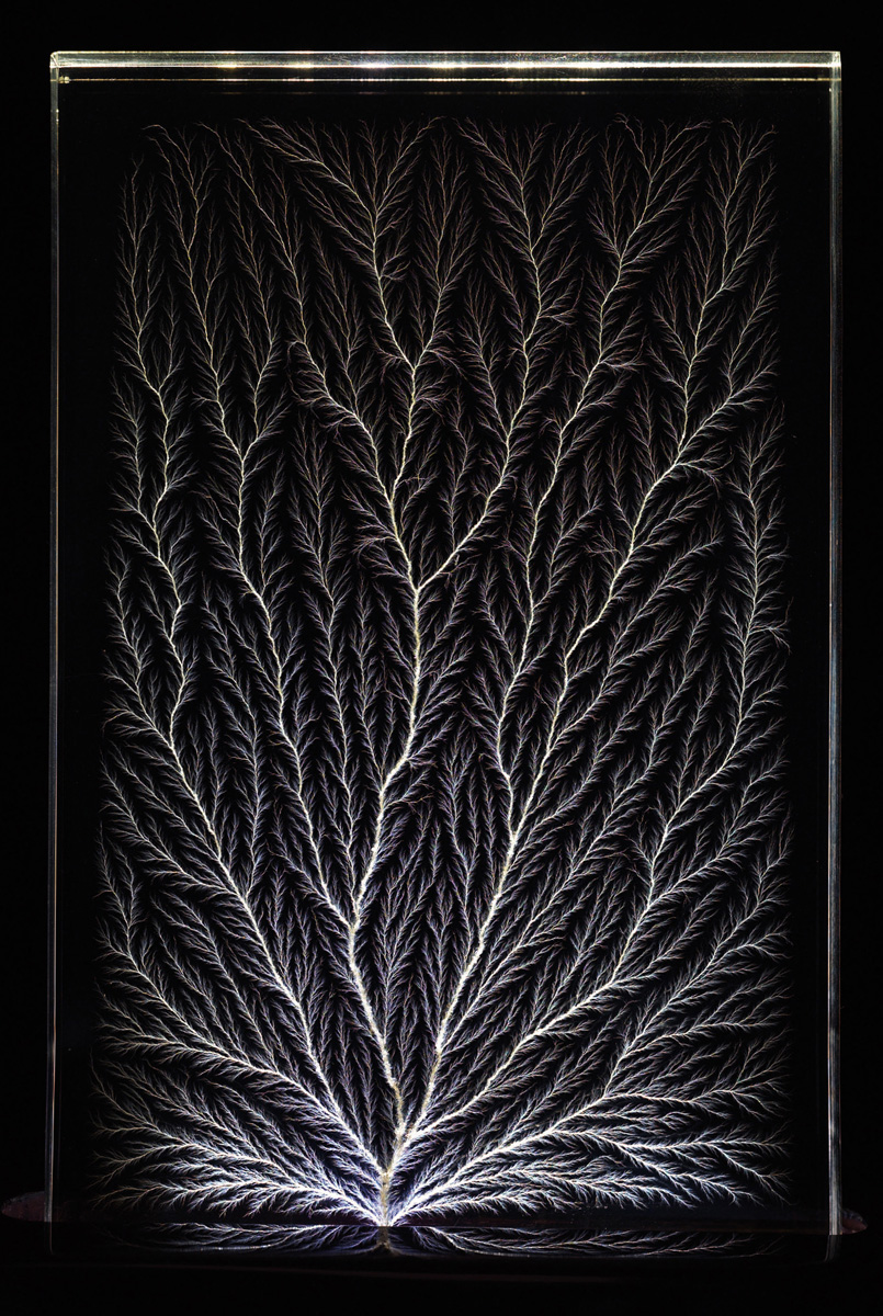 A Lichtenberg figure by Bert Hickman.