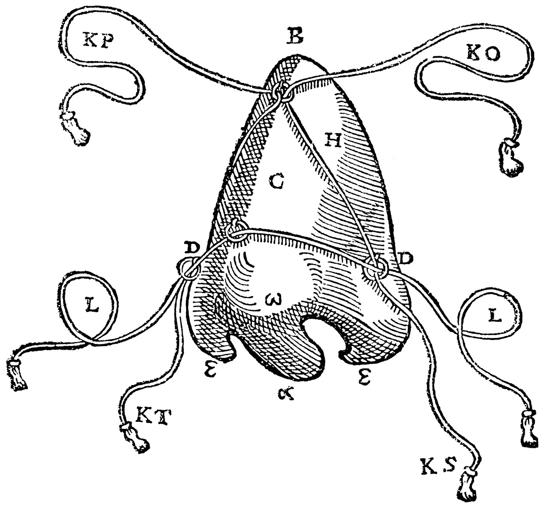 An illustration of a nose covering from Gasparo Tagliacozzi's fifteen ninety seven book, 