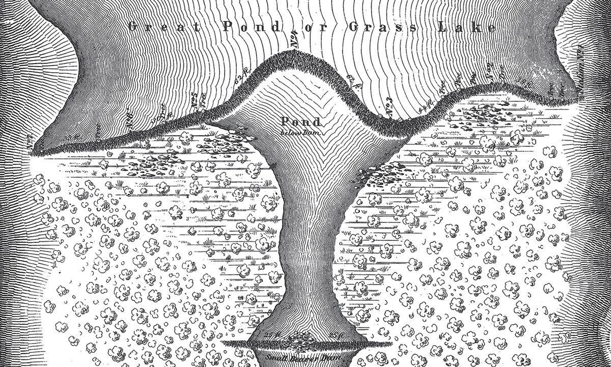 Plate 7 in Morgan’s 