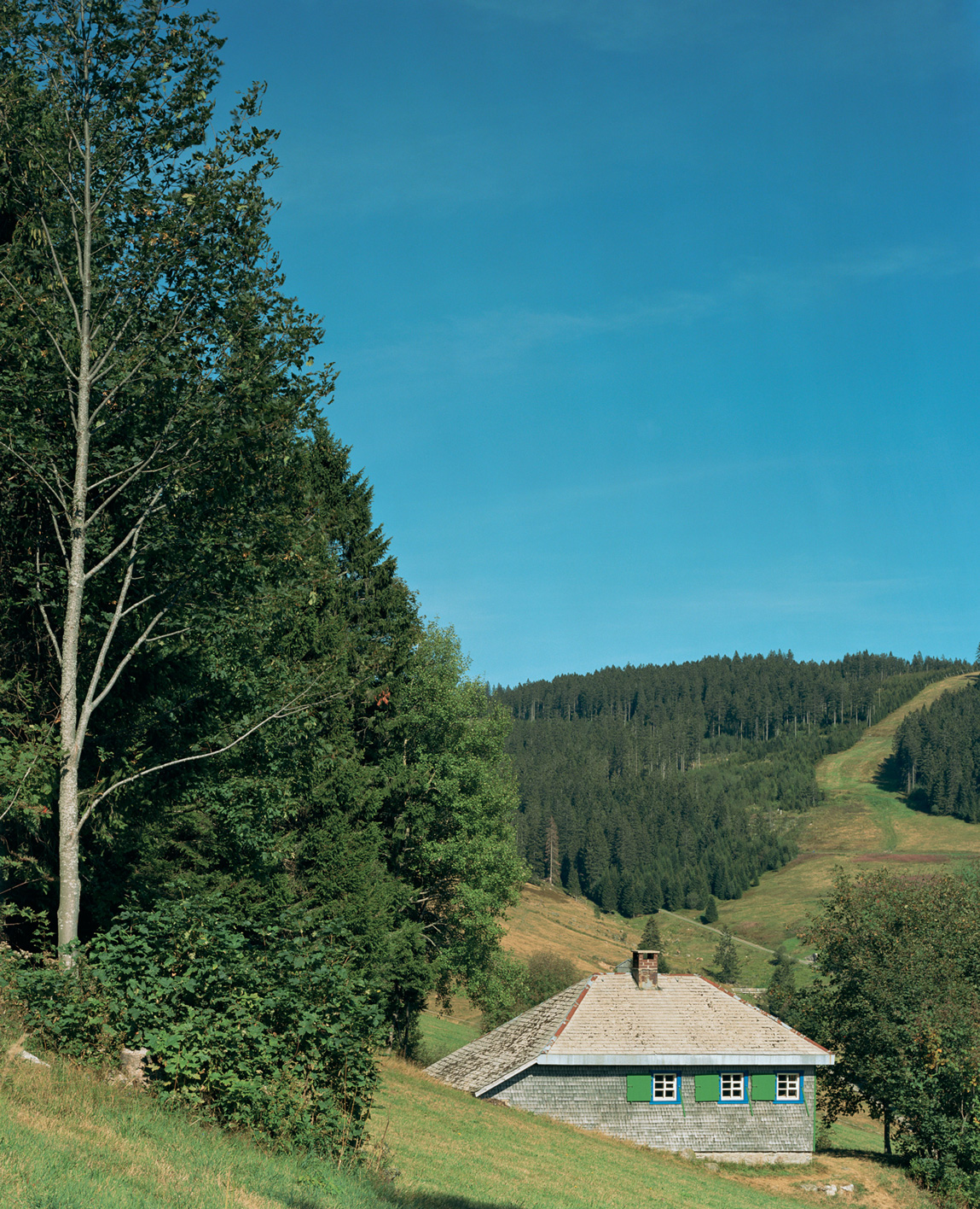 A two thousand five photograph by artist Patrick Lakey titled “Heidegger: Hut, Todtnauberg, Black Forest, Germany, I.”