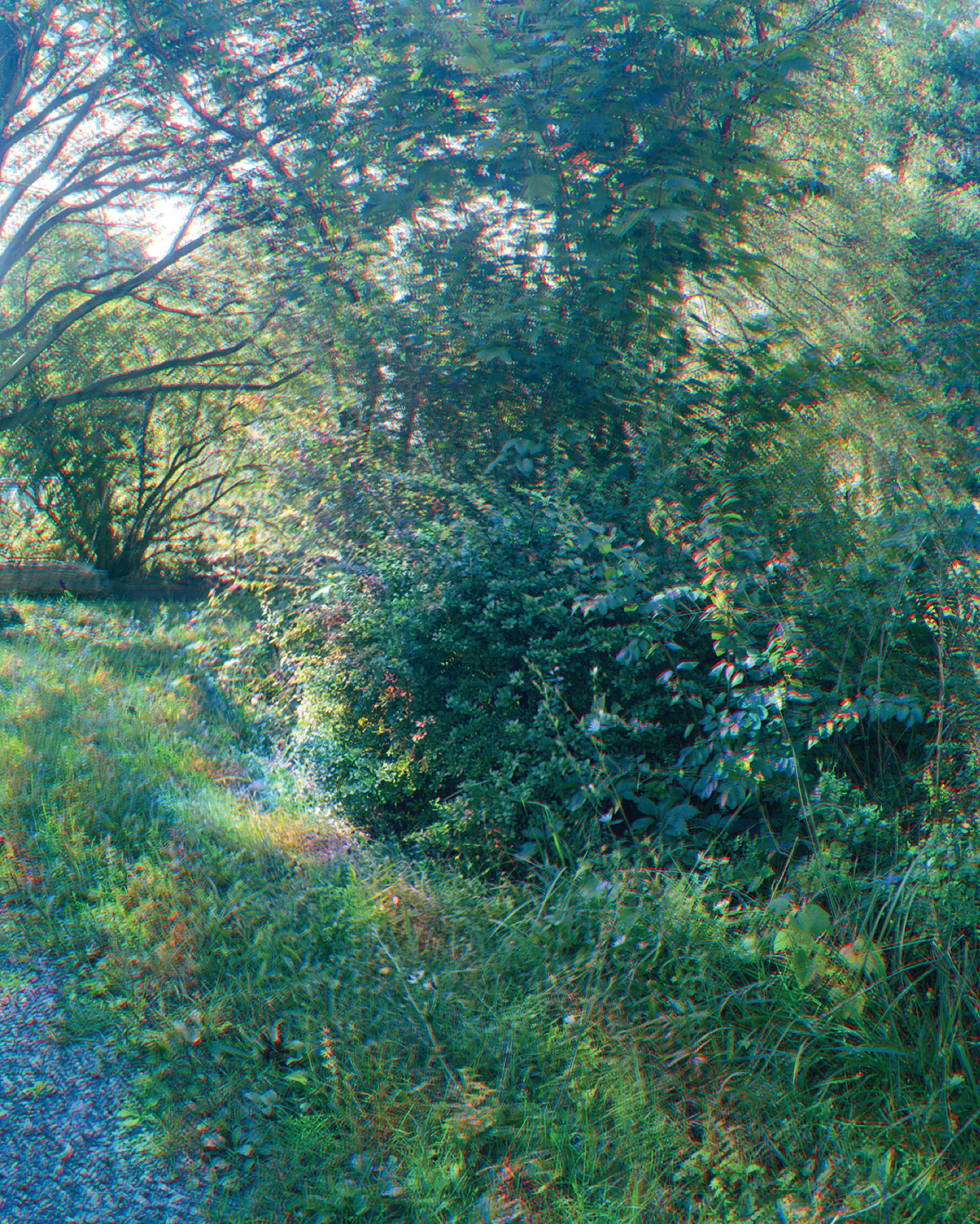 A nineteen ninety eight artwork by James Welling titled “Driveway, High Falls, NY.” The artist describes the work: “To create this tricolor image, three sheets of Kodak Tri-X film were exposed using Kodak color separation filters. Each exposure takes several minutes, resulting in a time difference between each exposure/color channel. The three negatives were then scanned and copied into the red, green, and blue channels of a Photoshop file, requiring only the alignment of the RGB channels. In any process using color separation filters, the blue channel is always out of alignment. This is frequently cheated at the top or bottom of the image. By leaving the images out-of-register, the picture-making process and the passage of time are illustrated.”