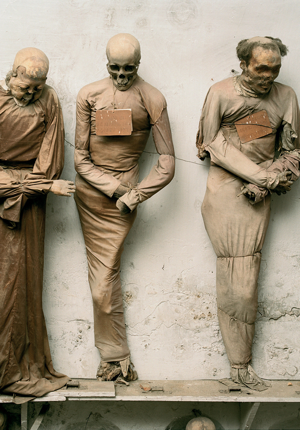 A photograph of corpses in the catacombs of Palermo.