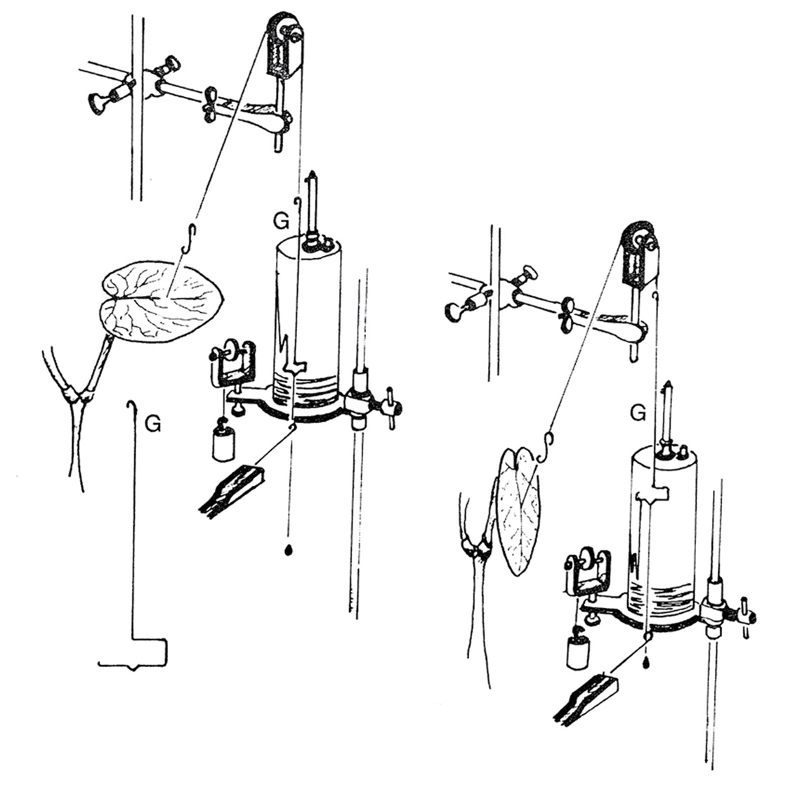 A diagram of an aktograph measuring device.