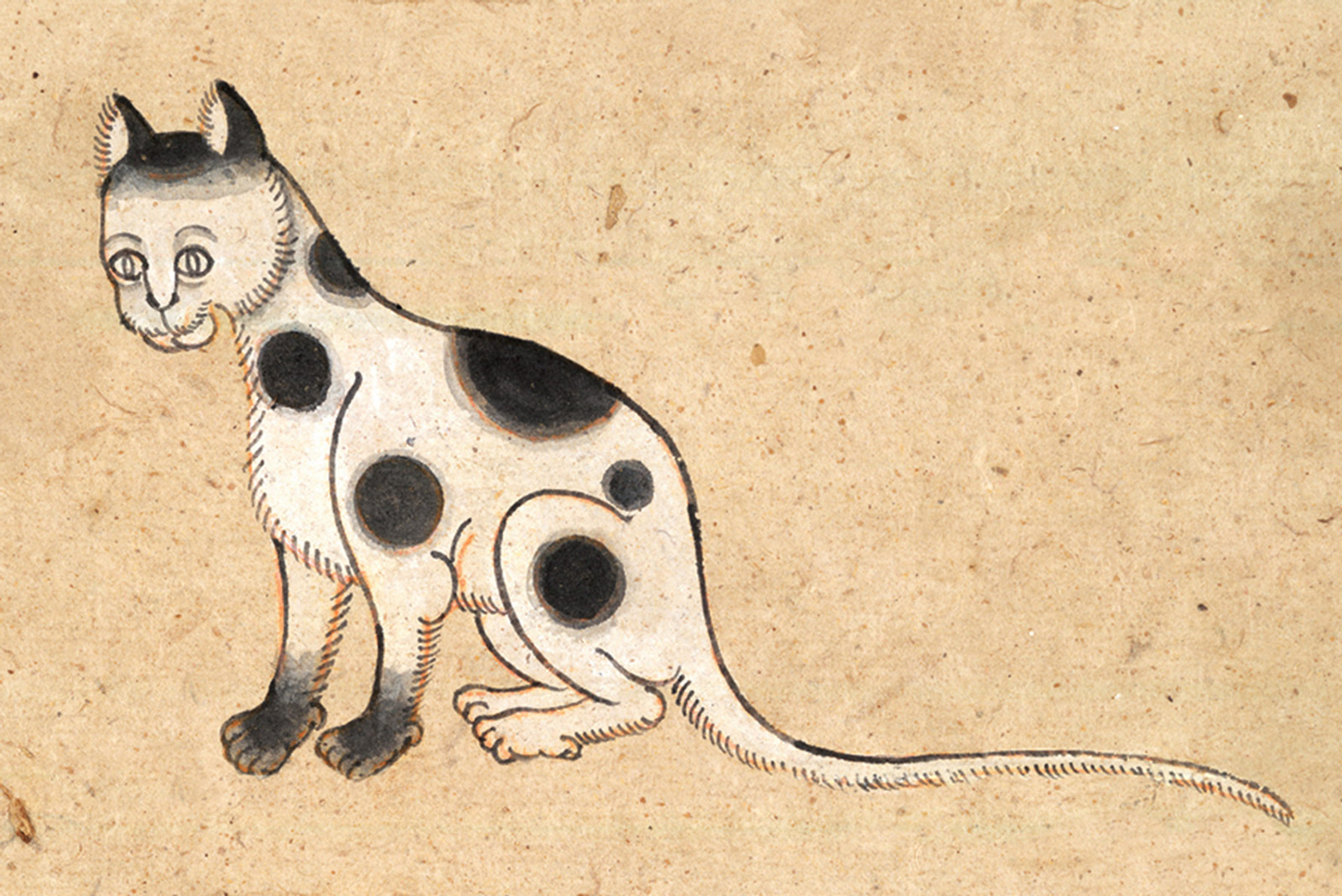 An illustration of a Kao Taem (Nine Points) cat from a mid-nineteenth-century manuscript titled “Tamra Maew.” The accompanying caption reads: “Alternating circles on neck, head, and hind thighs,
Plus on both shoulders and front paws,
Black covering the ends of both paws.
Nine horse-like black spots on an all-white background.”