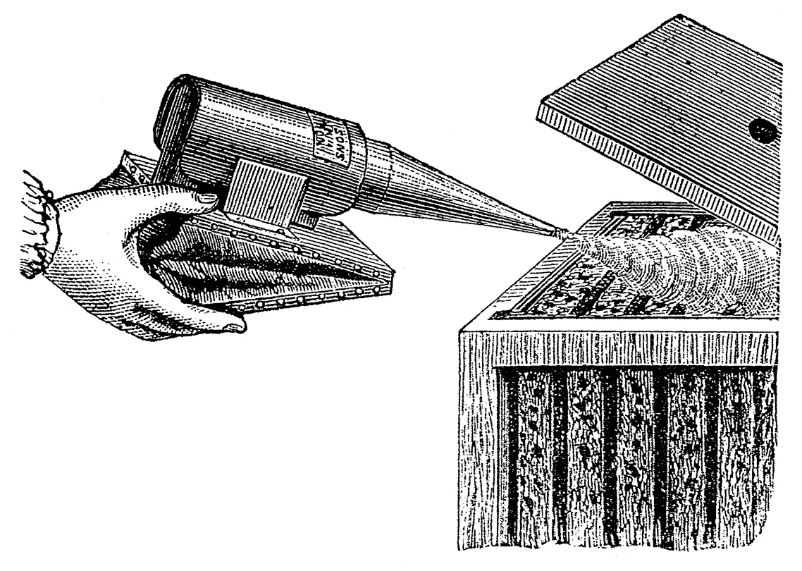 An illustration from F. G. Jenyns book titled A Book About Bees: Their History, Habits, and Instincts; Together with the First Principles of Modern Bee-Keeping for Young Readers.