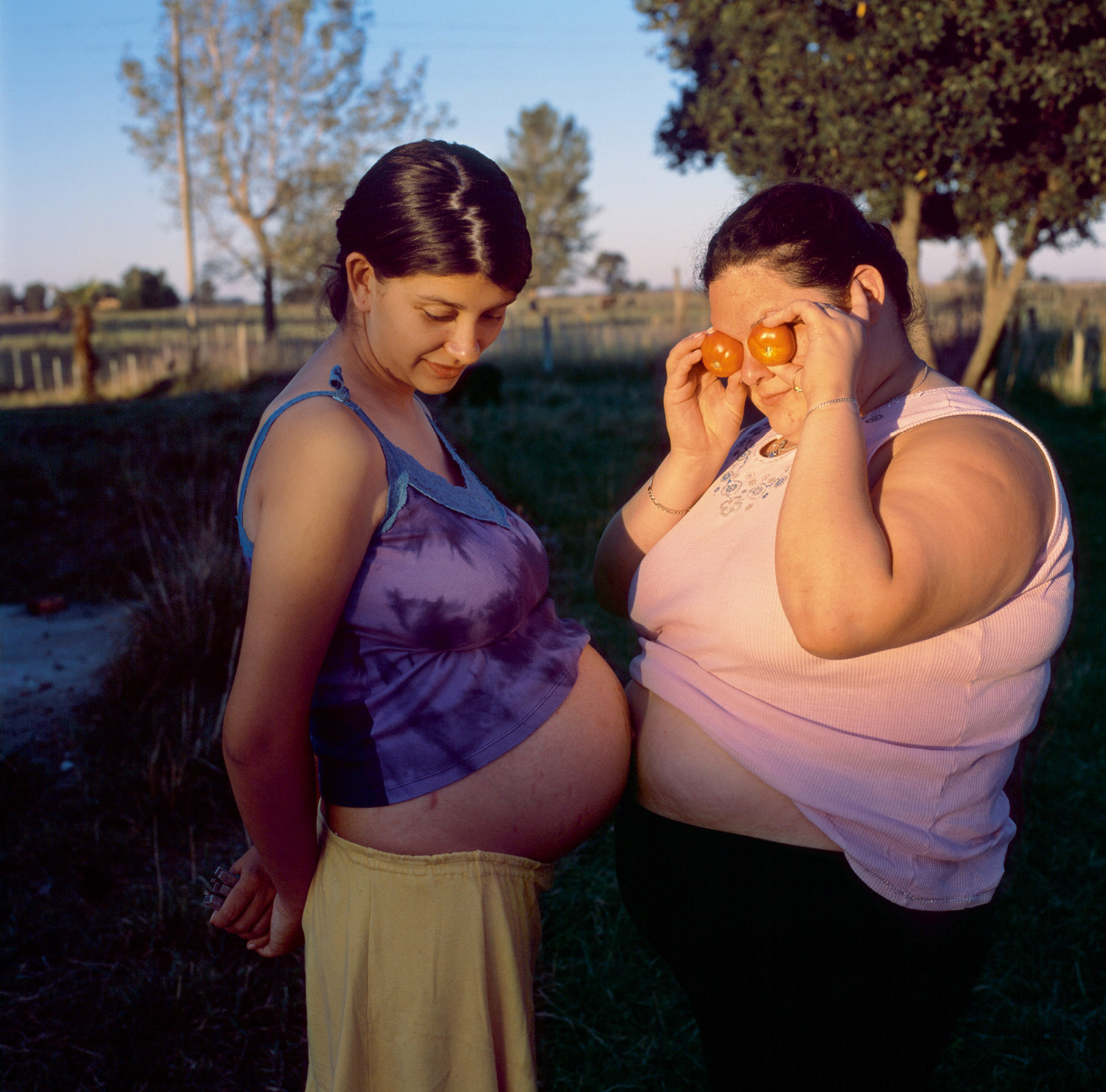 A 2007 photograph titled “Tomatoes.” 