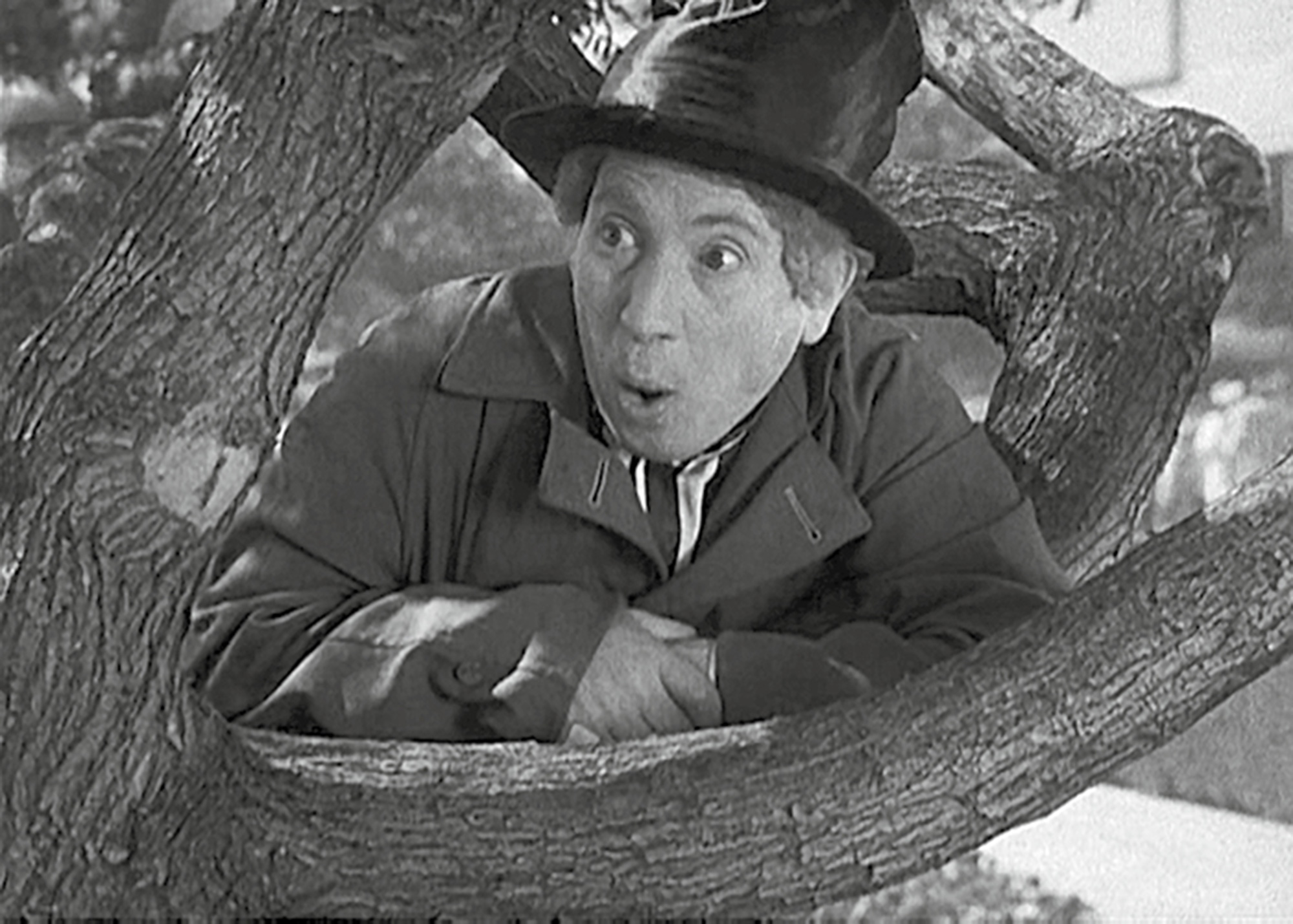 A still from the nineteen thirty-seven film “A Day at the Races” depicting Harpo Marx wide-eyed and surprised in a tree.