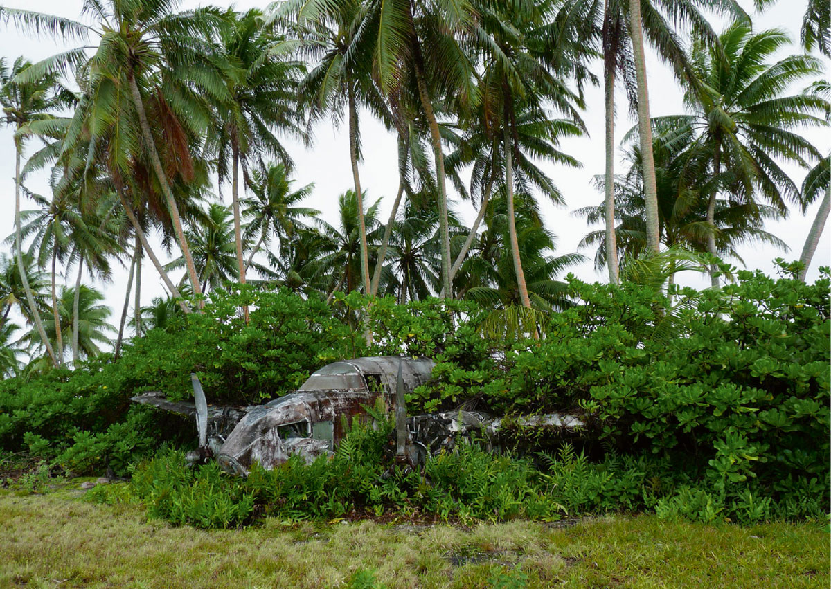 A photograph of airplane wreckage on the island of Palmyra. 