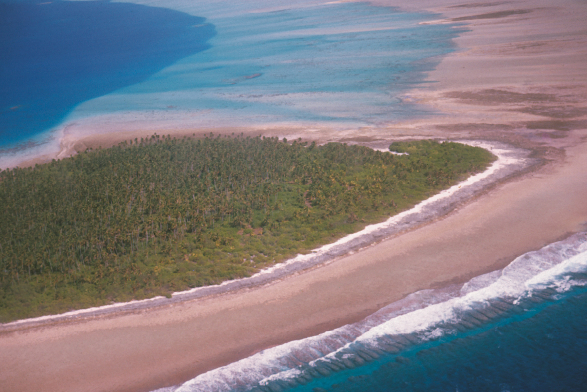 A eighteen sixty-four aerial photograph of Ujelang Atoll.