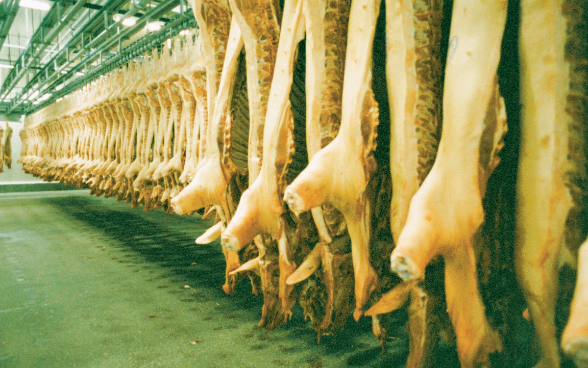 A photograph of a slaughterhouse in Germany.