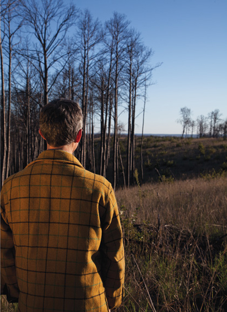 A photograph of the author contemplating a copse. 