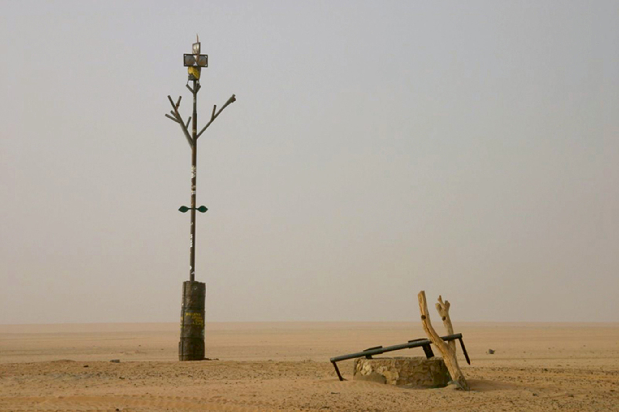 A photograph of an abject memorial erected at the site of the lost tree by an unknown mourner.