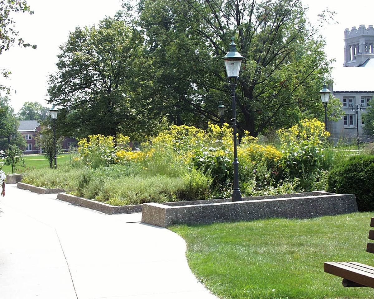 A photograph of a garden at Lake Forest College in Illinois planted with specimens native to the area's tallgrass prairie.