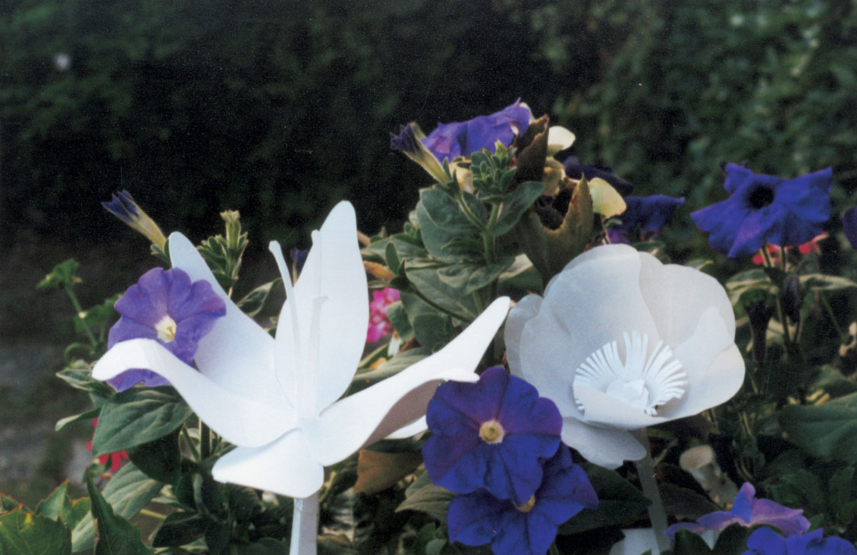 A 2001 photograph of paper flowers made by artist Rachel Urkowitz entitled “Paper Flowers in Giverny.”