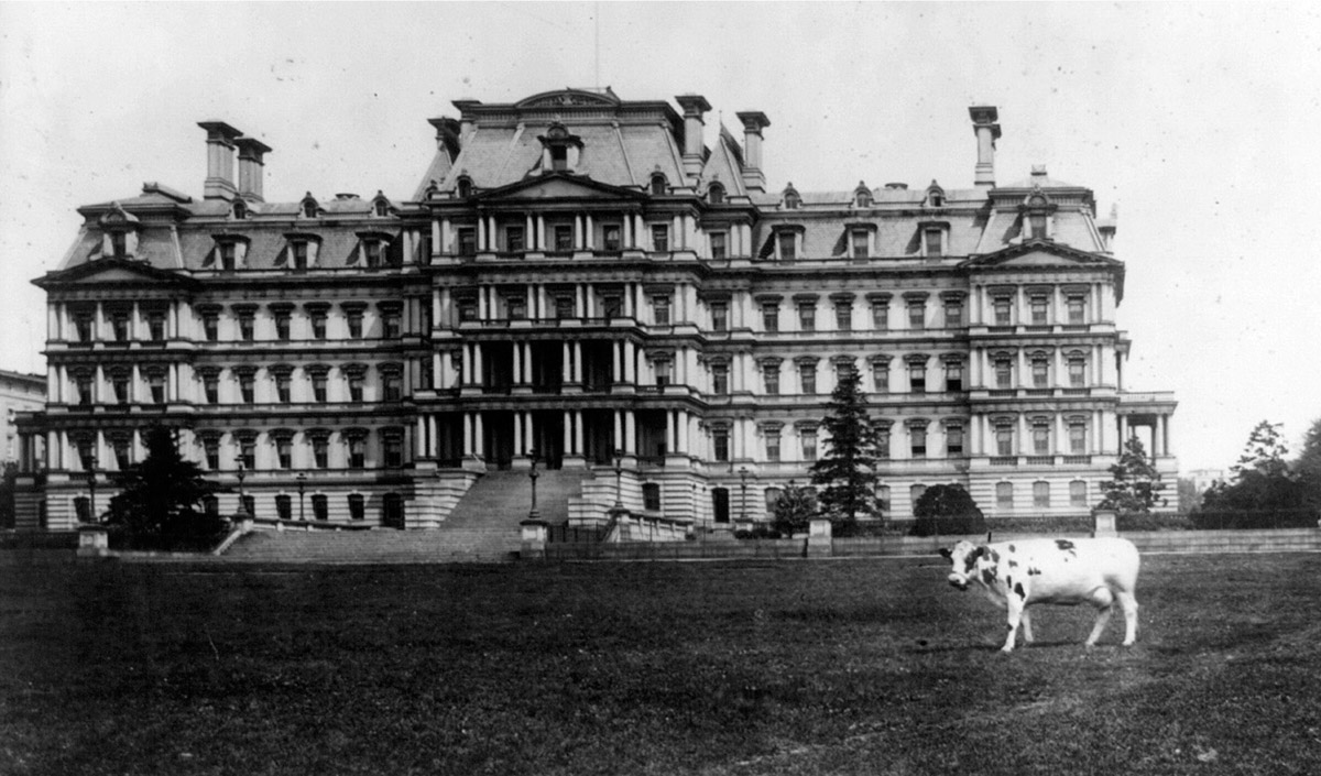 An image of Pauline in front of the State, War, and Navy Building in Washington, District of Columbia.