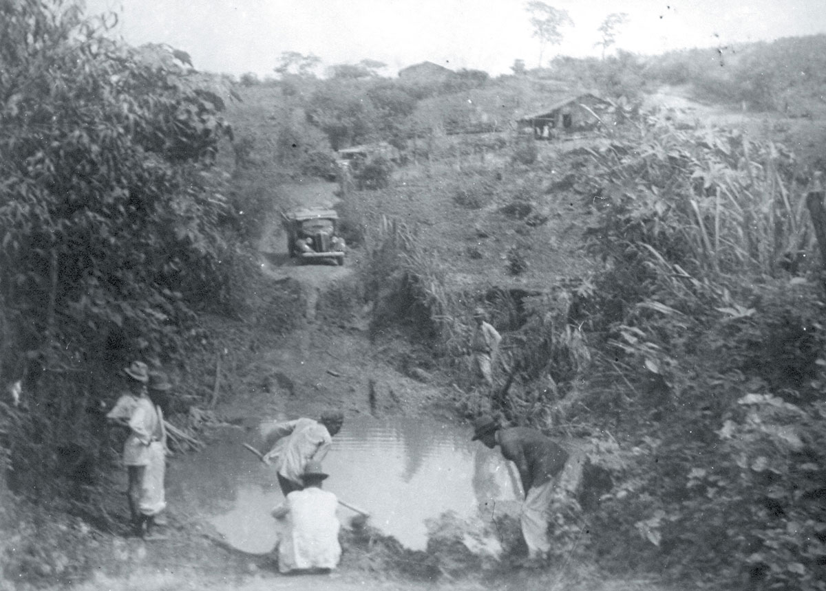 A photograph of a small pickup truck coming down a narrow road close to Fordlandia, circa 1940.