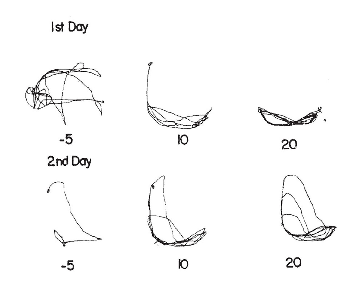 Diagrams showing the results of the same experiment made with a typical Figure-8 goat.