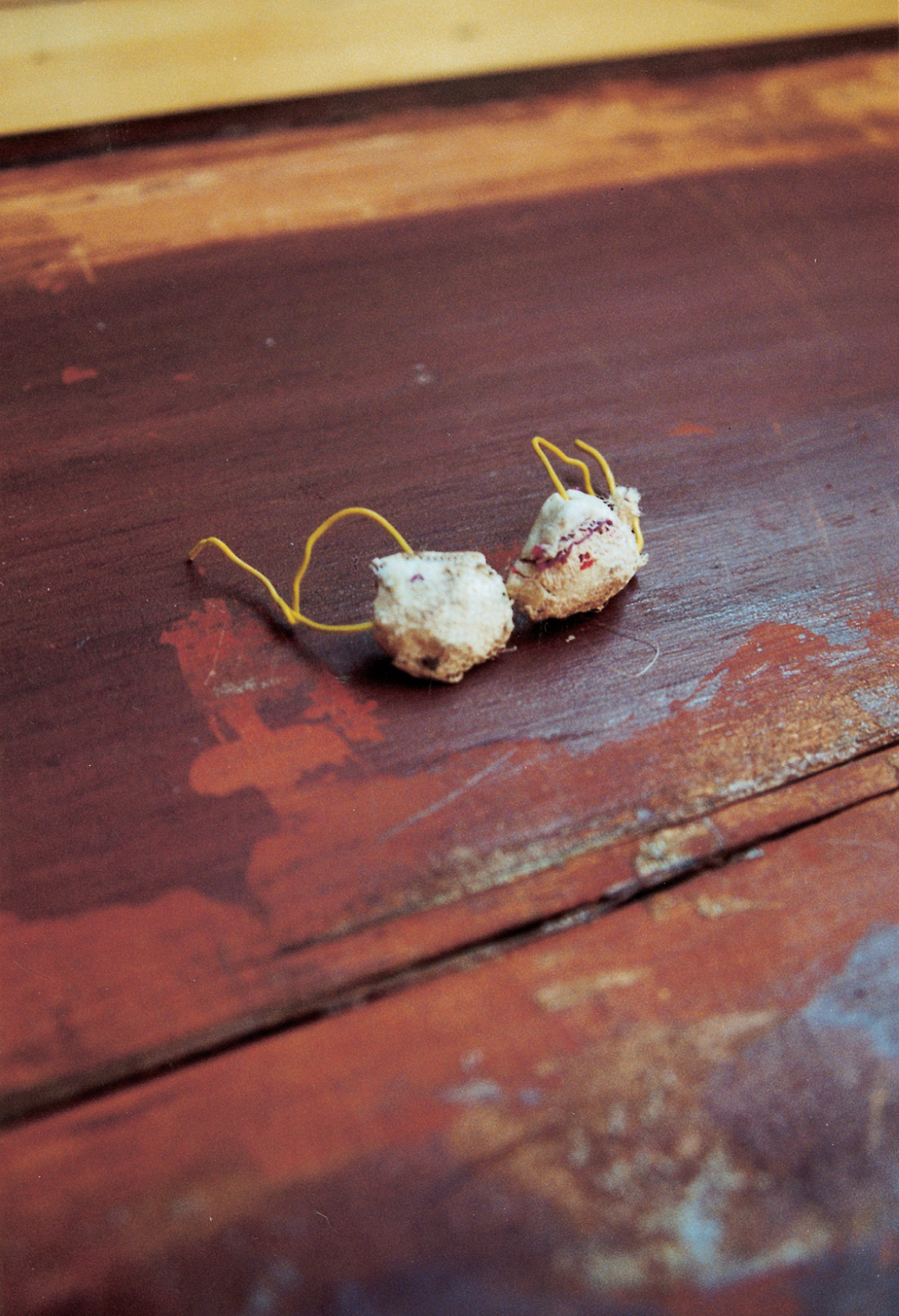 A photograph depicting a small crafted bra. The caption reads: Padded bra of molded white gum adhesive covered in white medical gauze, with straps of yellow telephone wire. The practice of building prosthetic breasts and penises out of clay probably arose in response to the needs of the “sexy” games of the early late classical period, rather than out of a more general concern with anatomical correctness. Either way, clay parts were nearly universal in the later Doll Games, as no male doll was originally endowed with a penis, and female leads Aina, Mara, and Melanie had the smooth torsos of the pre-adolescent Skipper and Fluff. This removable prosthesis is particularly interesting for the way it highlights the fundamentally theatrical nature of gender, which like this breast-laden bra can be donned or discarded at the dictates of desire and story line.
